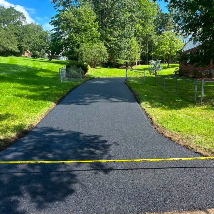 Driveway Sealing Services